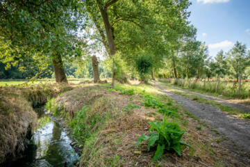 Wolvertemse Beemden met een beek aan de linkerkant en wandelpad aan de rechterkant.