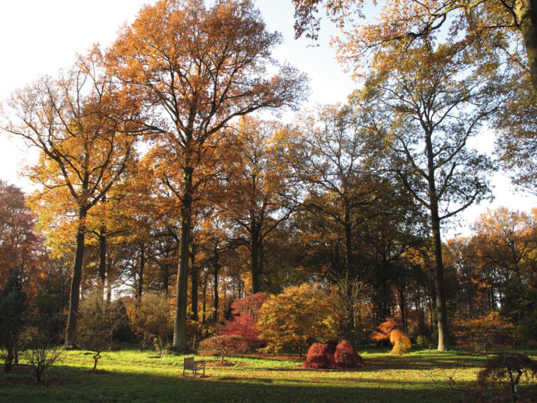 Haacht | VISIT Vlaams-Brabant