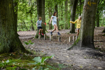 Kinderen aan het spelen in Meetshovenbos.