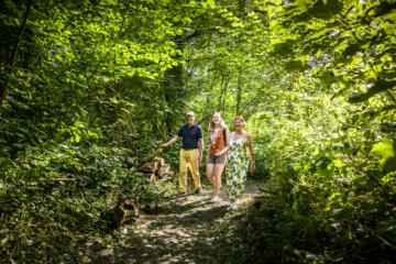 Wandelaars in groen bos.