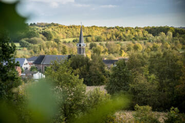 Uitzicht op kerktoren en boslandschap