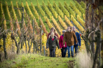 wandelaars in wijngaard