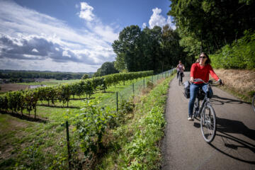 Twee vrouwen fietsen achter elkaar met naast hun zicht vanop de wijngaardberg.