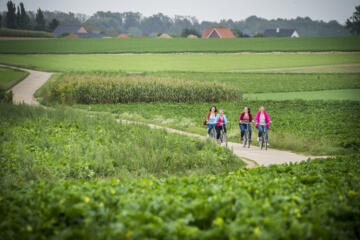 Vier vrouwen fietsen op kronkelende verharde weg tussen de velden.