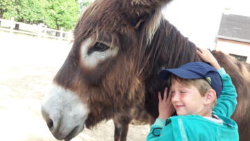 Kindje knuffelt een ezel.