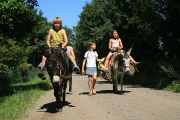 Twee kinderen op ezels rijden over een zonnig pad, terwijl een ander kind ernaast loopt.