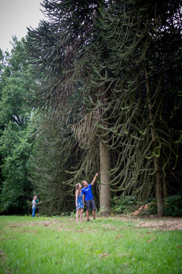 Geografisch arboretum van Tervuren