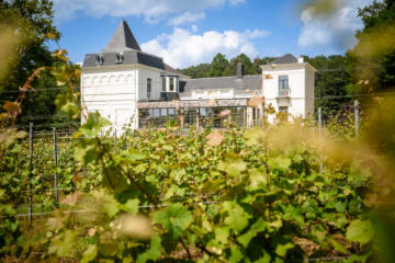 kasteel Haksberg met vooraan de wijngaard.