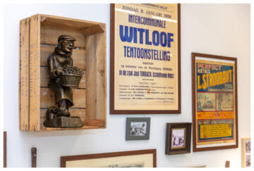 Expositie over witloof in Cultuur en beleefcentrum De Krop