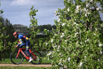 Wielrenner Thibau Nys fietst langs bloesems