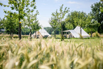 Glampingtenten in zonovergoten natuur