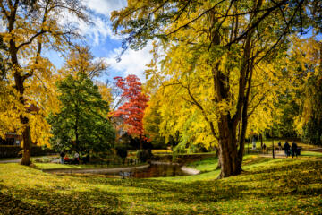 Stadspark Leuven in herfstkleuren